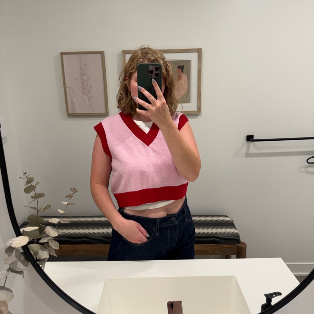 Aritzia Sweater Vest